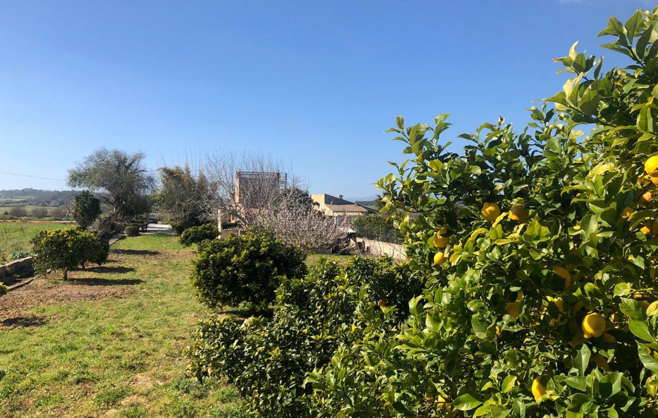 Son Roig ,Beautiful Place In The Heart Of Mallorca -Etv 9979 María de la Salud Eksteriør billede