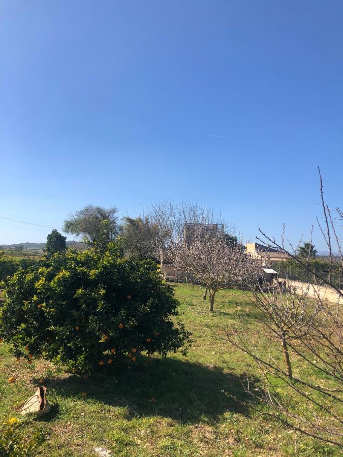 Son Roig ,Beautiful Place In The Heart Of Mallorca -Etv 9979 María de la Salud Eksteriør billede